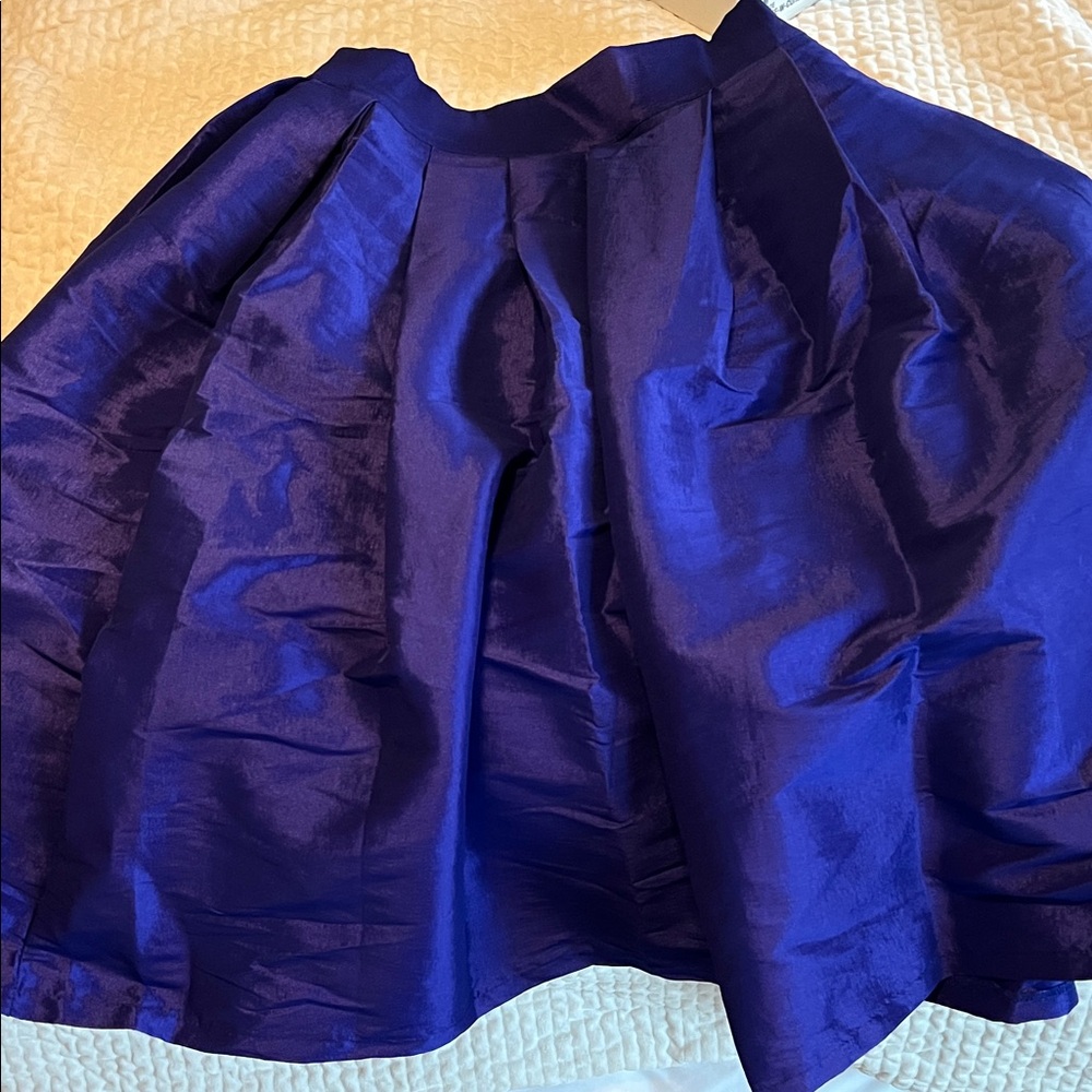 Elegant purple Women's Skirt